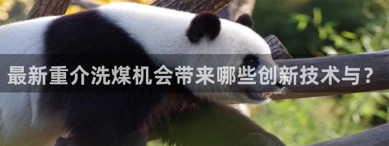 辉达娱乐己39444