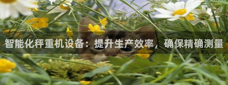 辉达娱乐广东11选5