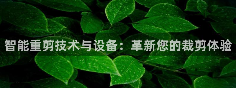 辉达娱乐加q75775稳定