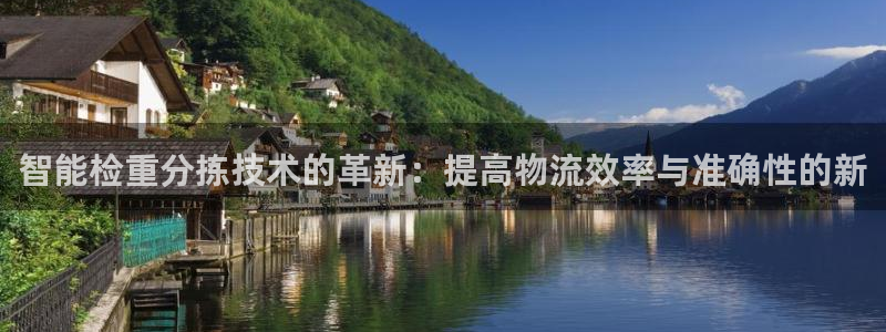 辉达娱乐公司