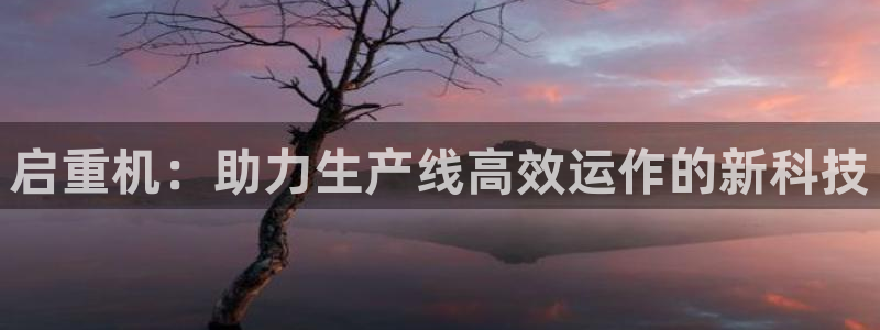 辉达平台官网下载：启重机：助力生产线高效运作的新科技