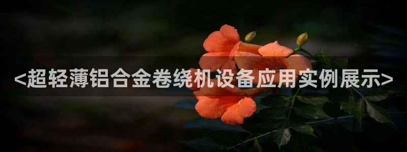 达利娱乐王辉：<超轻薄铝合金卷绕机设备应用实例展示>