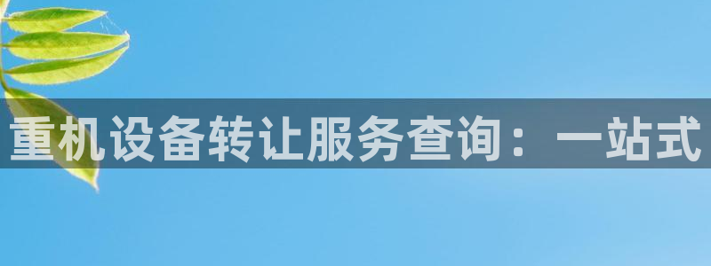 正规辉达娱乐官方网址：重机设备转让服务查询：一站式
