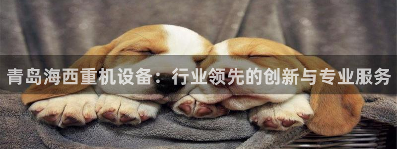 辉达娱乐重庆时时彩注册：青岛海西重机设备：行业领先的创新与专