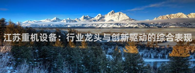 专业辉达娱乐在线游戏：江苏重机设备：行业龙头与创新驱动的综合
