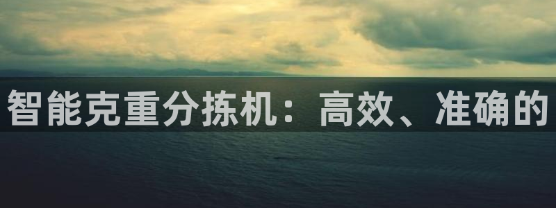 辉达平台注册流程：智能克重分拣机：高效、准确的