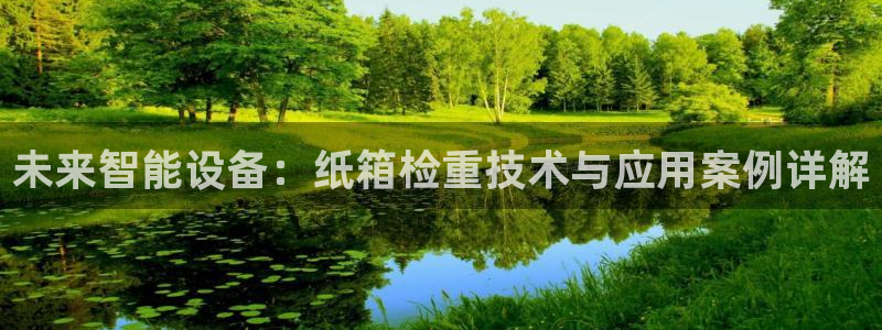 辉达平台官网下载：未来智能设备：纸箱检重技术与应用案例详解