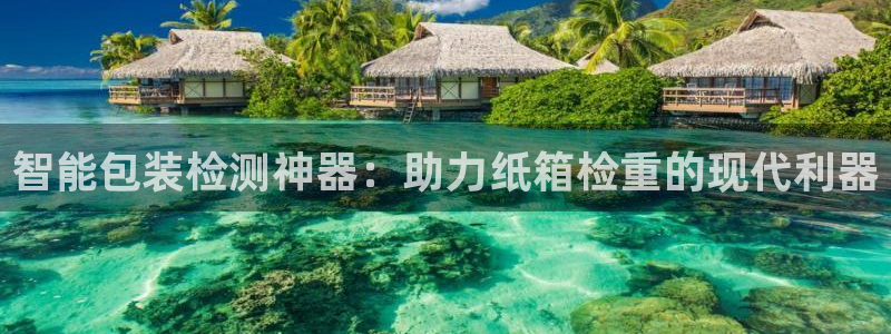 辉达平台注册入口：智能包装检测神器：助力纸箱检重的现代利器