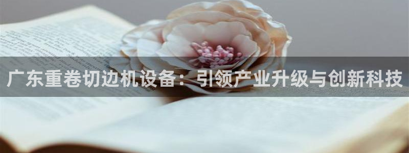辉达娱乐：广东重卷切边机设备：引领产业升级与创新科技