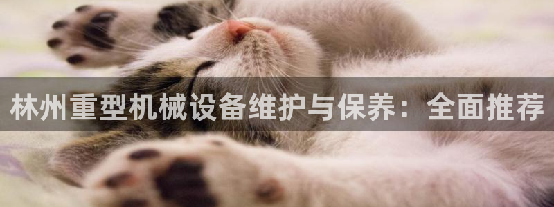 辉达平台官网下载：林州重型机械设备维护与保养：全面推荐