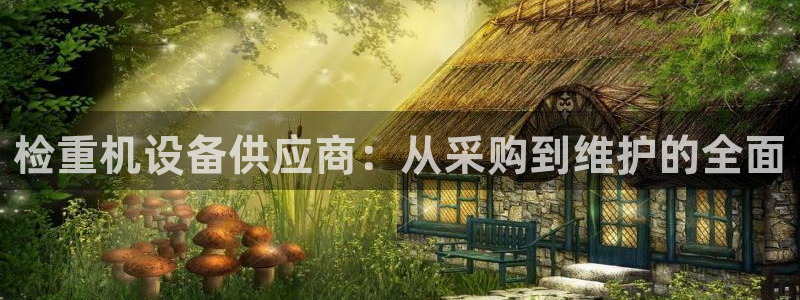 代理辉达娱乐开户注册：检重机设备供应商：从采购到维护的全面