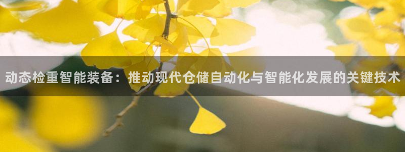 辉达娱乐分红：动态检重智能装备：推动现代仓储自动化与智能化发