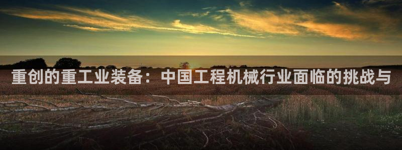 辉达娱乐线路检测：重创的重工业装备：中国工程机械行业面临的挑