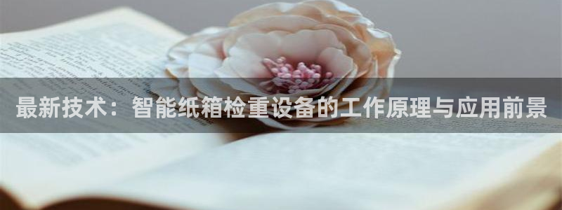 辉达娱乐官网：最新技术：智能纸箱检重设备的工作原理与应用前景