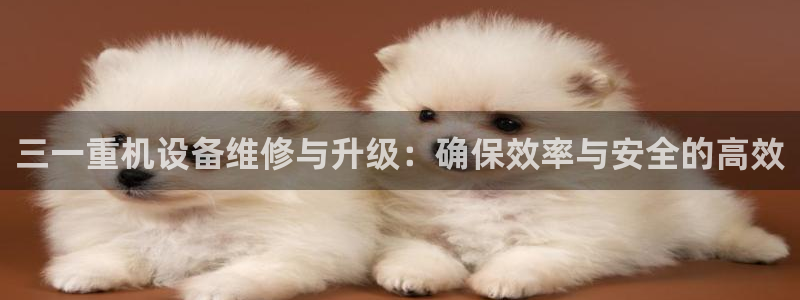 代理辉达娱乐平台