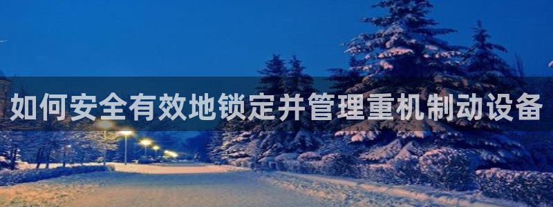 辉达平台注册资金多少：如何安全有效地锁定并管理重机制动设备