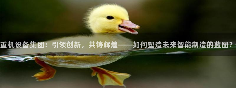 辉达娱乐新疆时时彩：重机设备集团：引领创新，共铸辉煌——如何