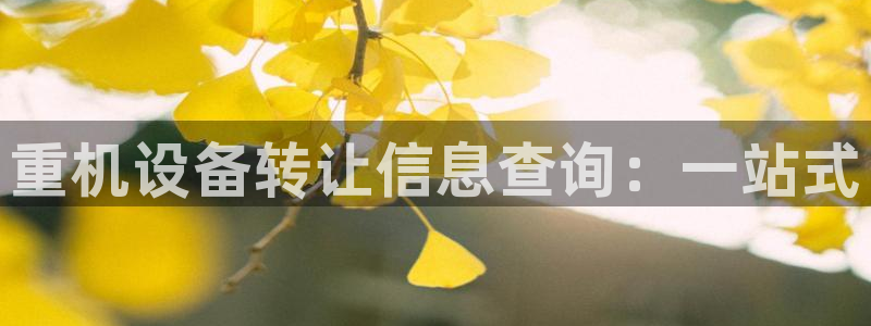 正规辉达娱乐官方网址