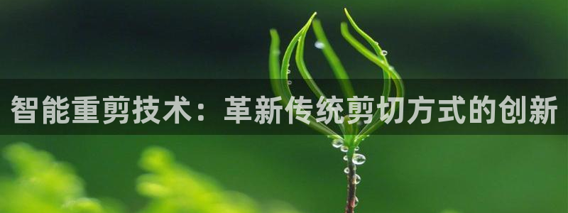辉达娱乐五39444：智能重剪技术：革新传统剪切方式的创新