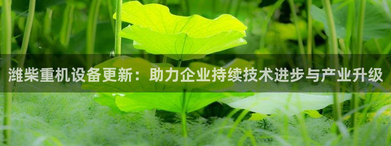 辉达娱乐衤39444：潍柴重机设备更新：助力企业持续技术进步