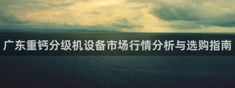 辉达娱乐网址：广东重钙分级机设备市场行情分析与选购指南