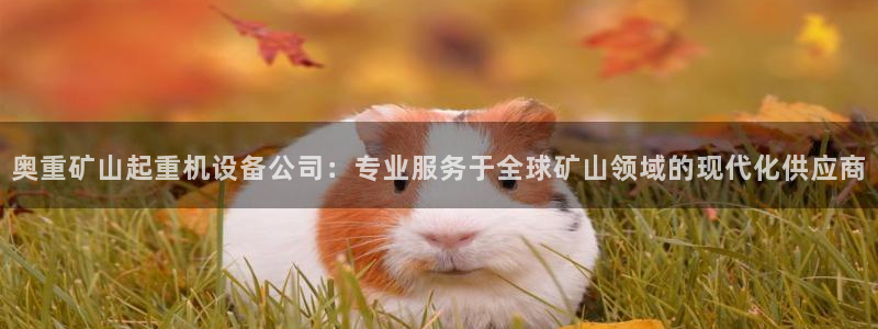 辉达平台注册入口：奥重矿山起重机设备公司：专业服务于全球矿山