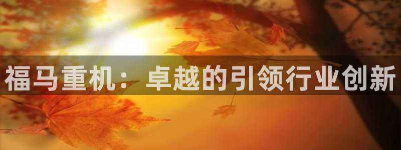 专业辉达娱乐在线游戏：福马重机：卓越的引领行业创新
