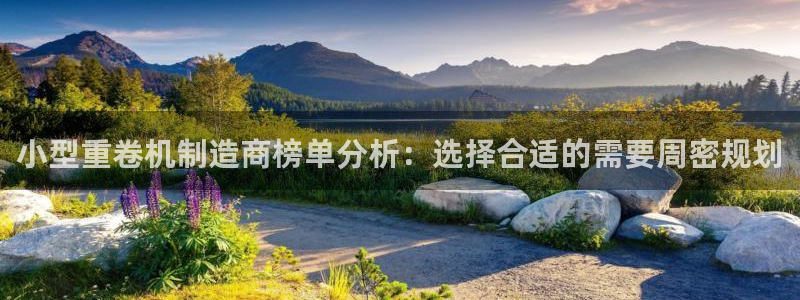 辉达娱乐加q75775：小型重卷机制造商榜单分析：选择合适的
