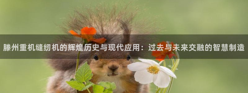 辉达娱乐广东11选5：滕州重机缝纫机的辉煌历史与现代应用：过