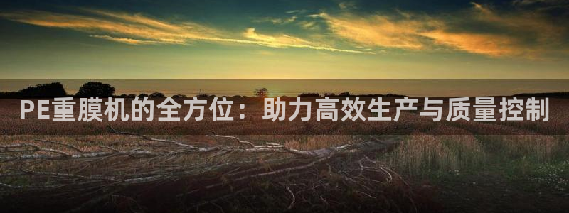 辉达娱乐平台：PE重膜机的全方位：助力高效生产与质量控制