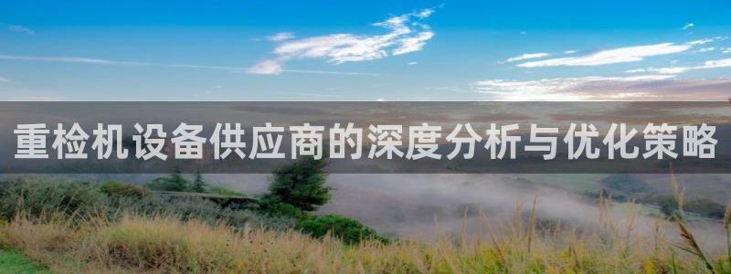 辉达娱乐丿75505：重检机设备供应商的深度分析与优化策略