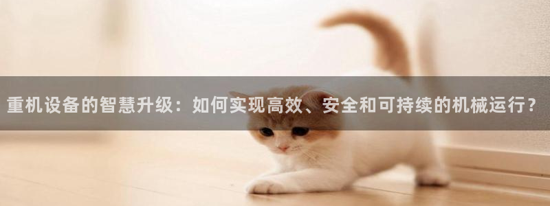 信誉辉达娱乐官方网址：重机设备的智慧升级：如何实现高效、安全