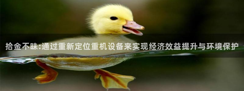 辉达娱乐己39444：拾金不昧:通过重新定位重机设备来实现经