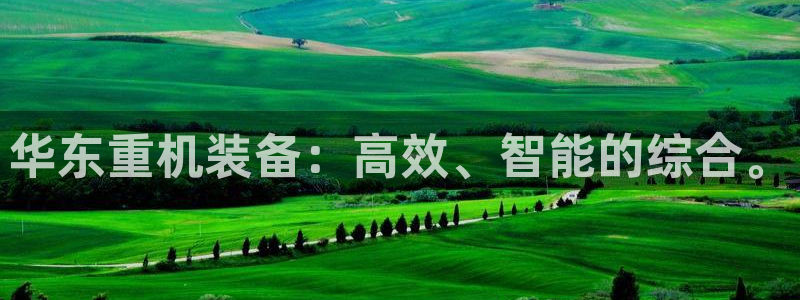 辉达娱乐 75505：华东重机装备：高效、智能的综合。