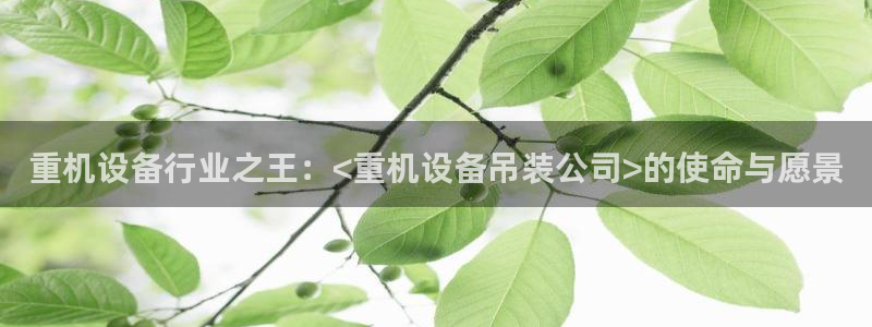 辉达娱乐app：重机设备行业之王：<重机设备吊装公司>的使命