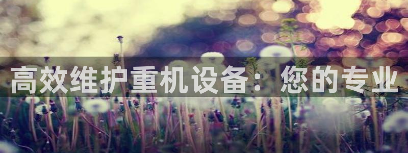 辉达娱乐体育竞猜：高效维护重机设备：您的专业