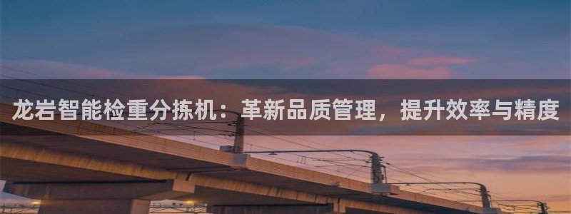 代理辉达娱乐：龙岩智能检重分拣机：革新品质管理，提升效率与精