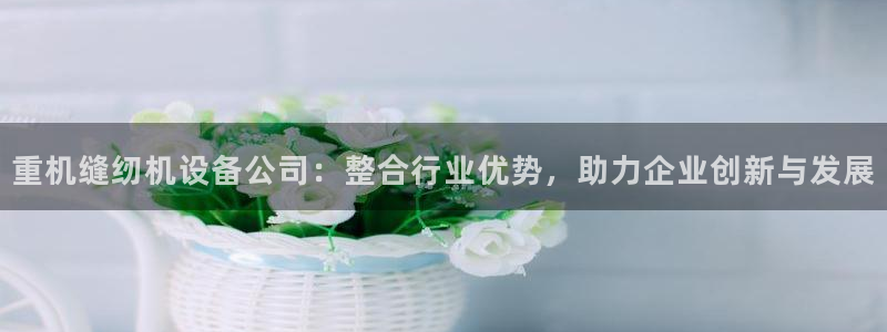 辉达娱乐五75505：重机缝纫机设备公司：整合行业优势，助力