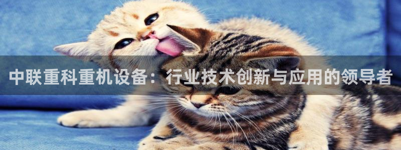 信誉辉达娱乐开户注册：中联重科重机设备：行业技术创新与应用的