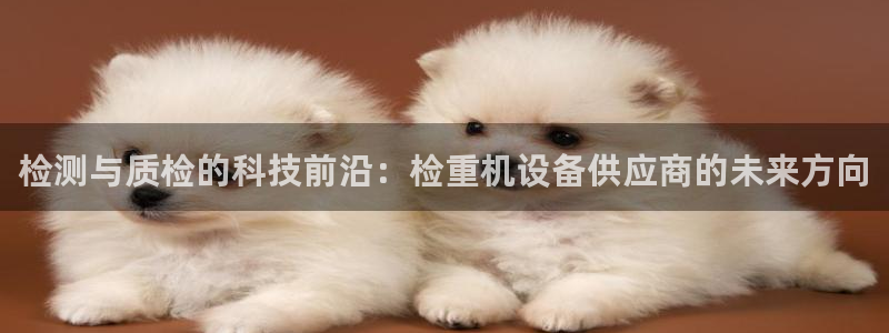 辉达娱乐丶75505：检测与质检的科技前沿：检重机设备供应商