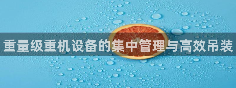 辉达娱乐广东11选5：重量级重机设备的集中管理与高效吊装