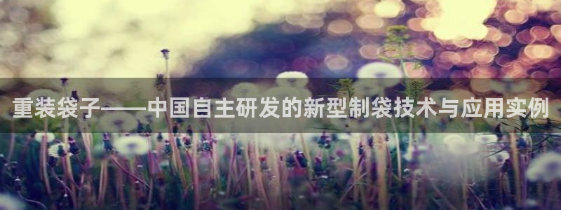 辉达娱乐计划软件：重装袋子——中国自主研发的新型制袋技术与应