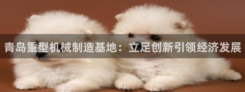 辉达平台官网首页：青岛重型机械制造基地：立足创新引领经济发展