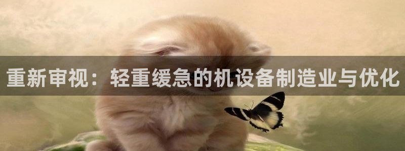 辉达娱乐丿75505：重新审视：轻重缓急的机设备制造业与优化