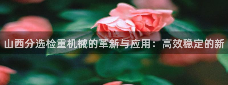 代理辉达娱乐官方网址：山西分选检重机械的革新与应用：高效稳定