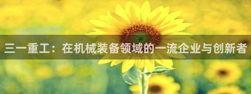 辉达娱乐电子游艺：三一重工：在机械装备领域的一流企业与创新者