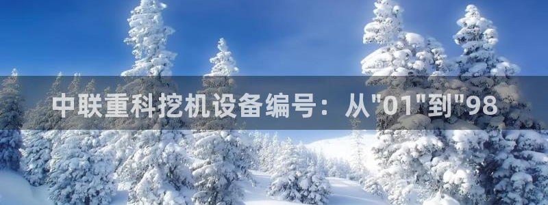 信誉辉达娱乐在线游戏：中联重科挖机设备编号：从\