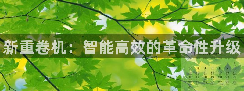 辉达娱乐新疆时时彩：新重卷机：智能高效的革命性升级