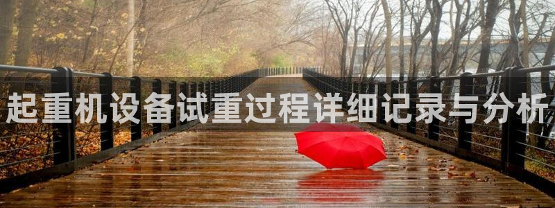 辉达娱乐新疆时时彩：起重机设备试重过程详细记录与分析