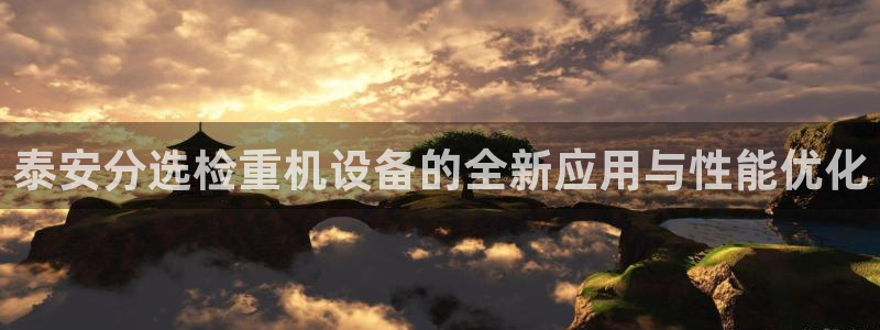 辉达娱乐app：泰安分选检重机设备的全新应用与性能优化